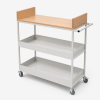 document trolley