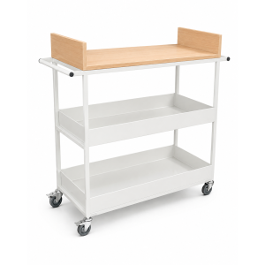 document trolley