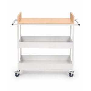 document trolley