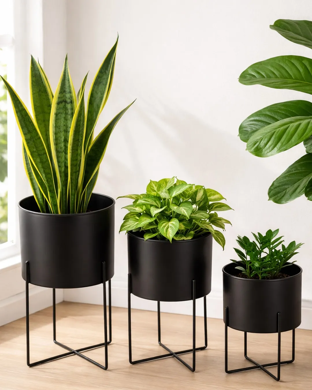 planter pot set