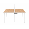 two way workstation